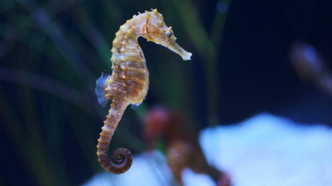Apartmán L'Hippocampe Sète Exteriér fotografie